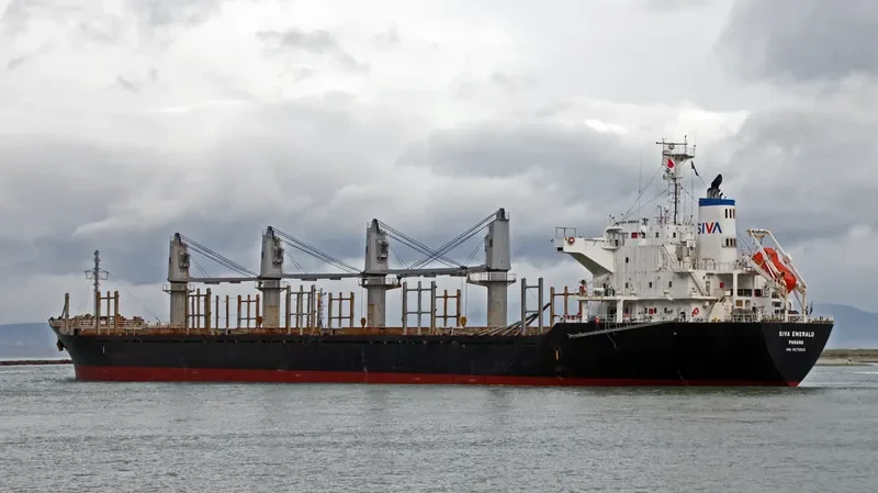 HAI PHUONG 86 Bulk Carrier IMO 9573933 photo 3