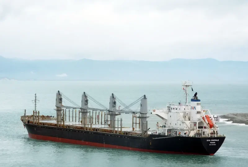 HAI PHUONG 86 Bulk Carrier IMO 9573933 photo 7