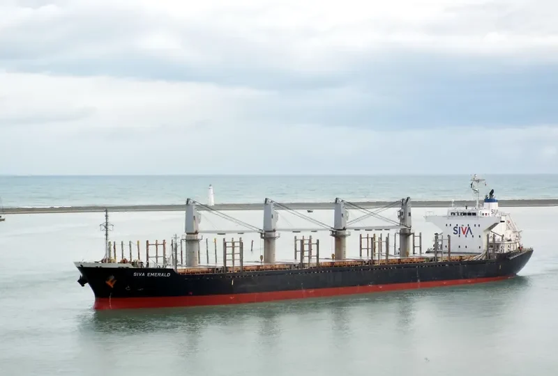 HAI PHUONG 86 Bulk Carrier IMO 9573933 photo 8