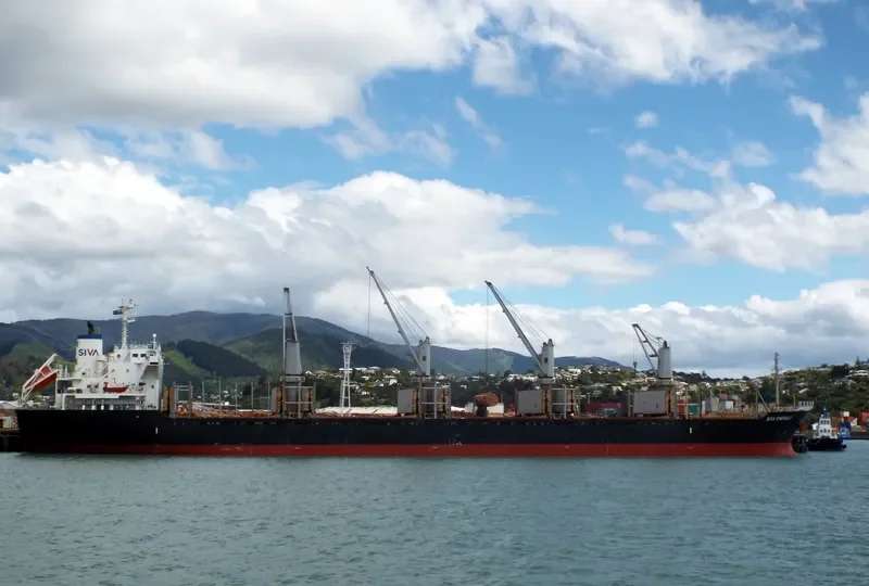 HAI PHUONG 86 Bulk Carrier IMO 9573933 photo 10