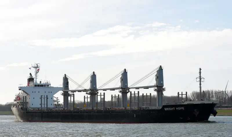 BRIGHT HOPE Bulk Carrier IMO 9573945