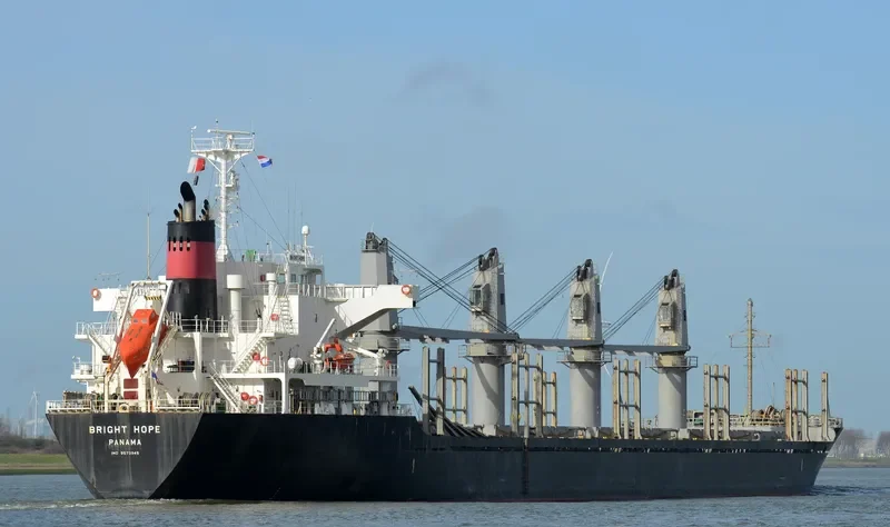 BRIGHT HOPE Bulk Carrier IMO 9573945 photo 2