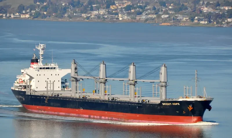 BRIGHT HOPE Bulk Carrier IMO 9573945 photo 5