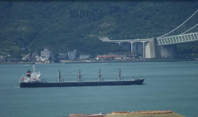 BRIGHT HOPE Bulk Carrier IMO 9573945 photo 6
