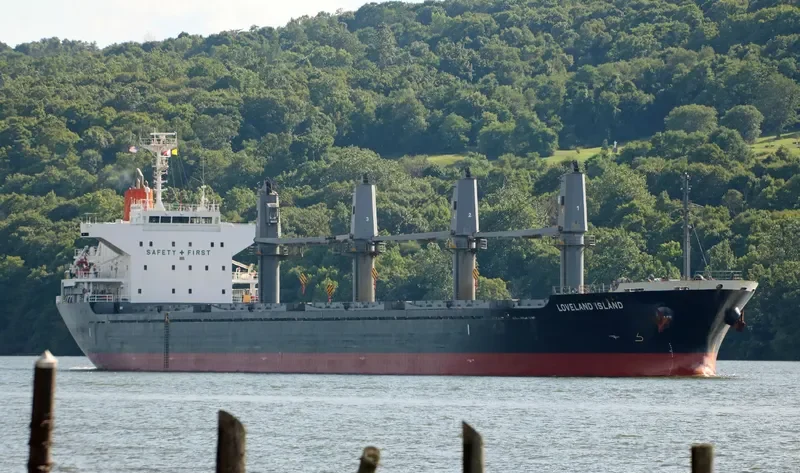 LADY DIMINE Bulk Carrier IMO 9573957 photo 3