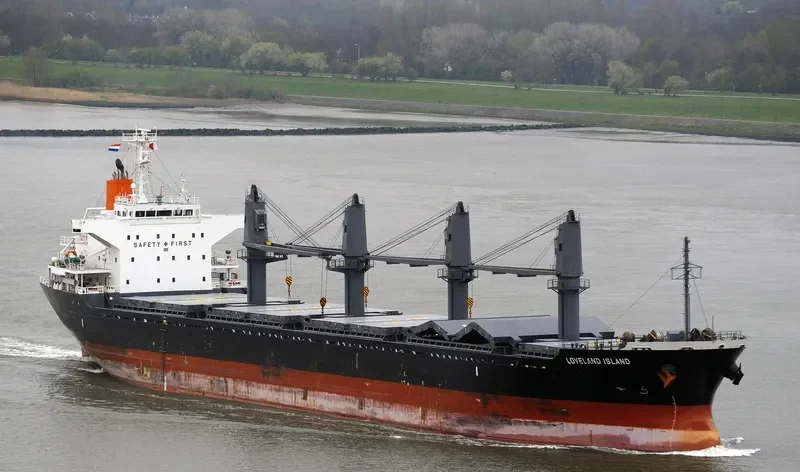 LADY DIMINE Bulk Carrier IMO 9573957 photo 4