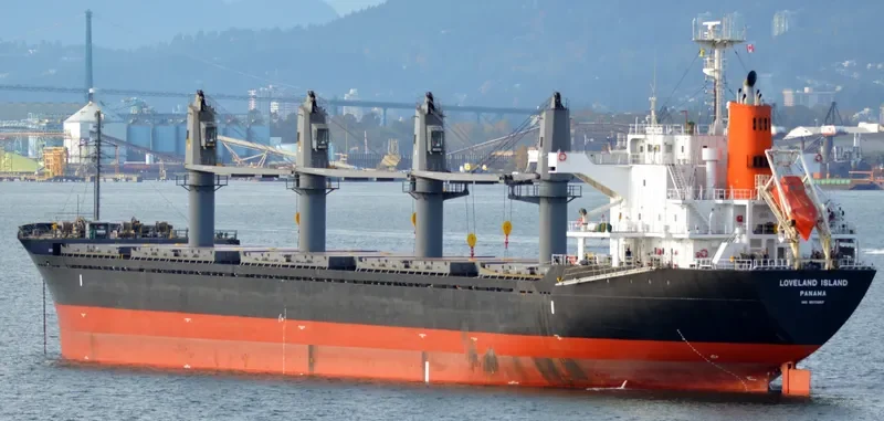 LADY DIMINE Bulk Carrier IMO 9573957 photo 5
