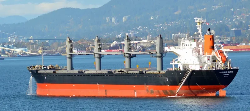 LADY DIMINE Bulk Carrier IMO 9573957 photo 7