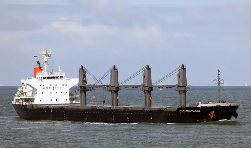 LADY DIMINE Bulk Carrier IMO 9573957 photo 8