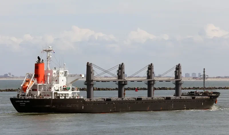 LADY DIMINE Bulk Carrier IMO 9573957 photo 9
