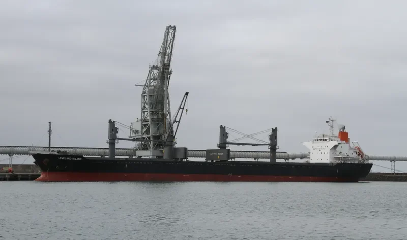 LADY DIMINE Bulk Carrier IMO 9573957 photo 10