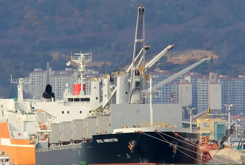ROYAL INNOVATION Bulk Carrier IMO 9573969