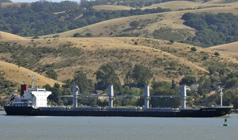 ROYAL INNOVATION Bulk Carrier IMO 9573969 photo 3