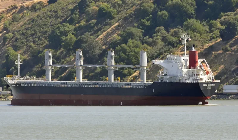 ROYAL INNOVATION Bulk Carrier IMO 9573969 photo 4