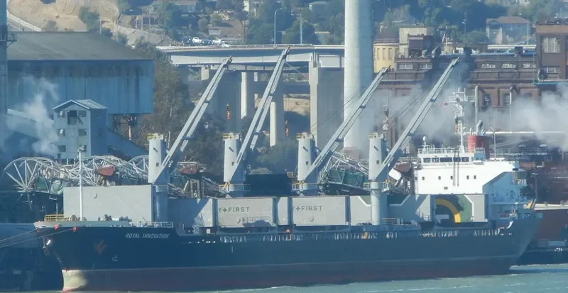 ROYAL INNOVATION Bulk Carrier IMO 9573969 photo 6