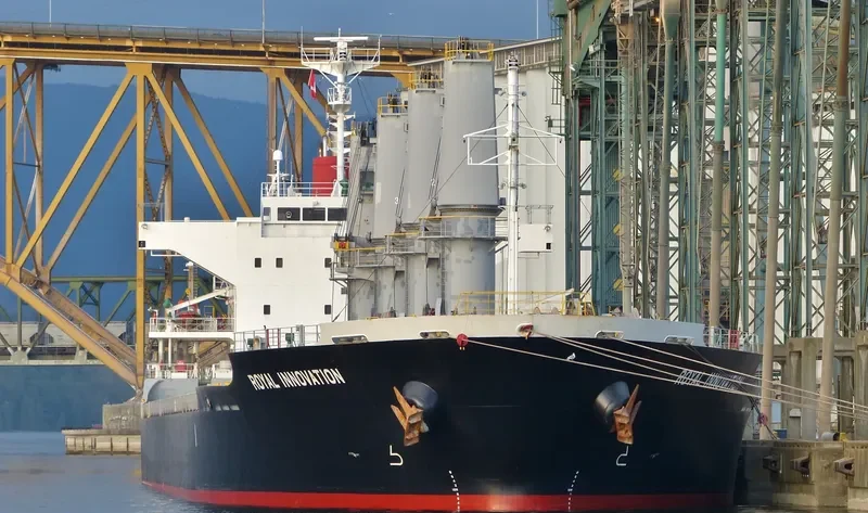 ROYAL INNOVATION Bulk Carrier IMO 9573969 photo 7