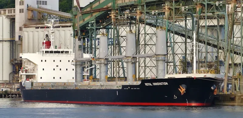 ROYAL INNOVATION Bulk Carrier IMO 9573969 photo 8