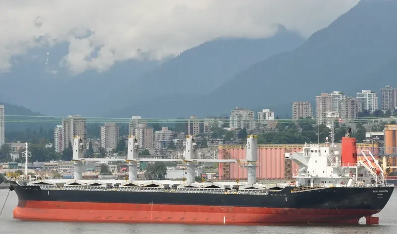 ROYAL INNOVATION Bulk Carrier IMO 9573969 photo 9