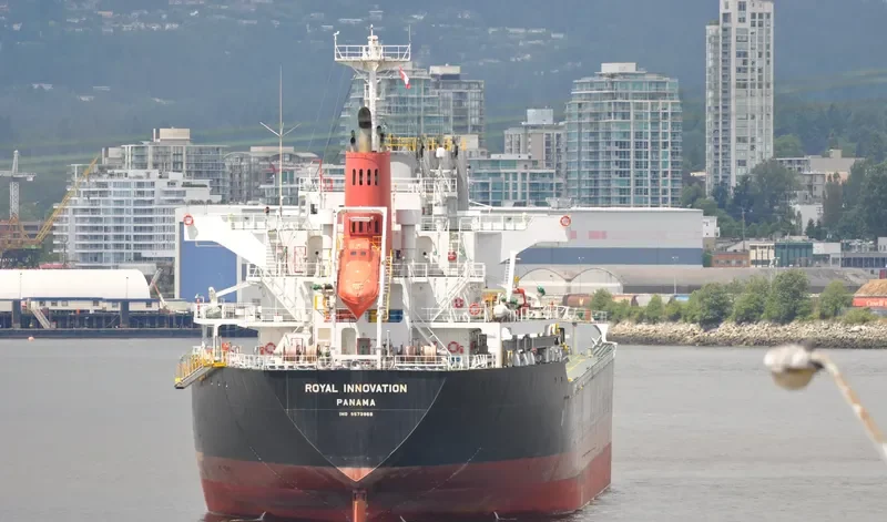 ROYAL INNOVATION Bulk Carrier IMO 9573969 photo 10
