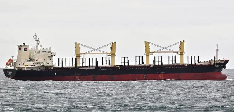 PACIFIC LEGEND Bulk Carrier IMO 9573995 photo 2