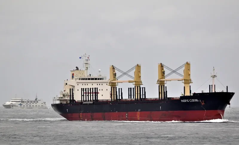 PACIFIC LEGEND Bulk Carrier IMO 9573995 photo 4