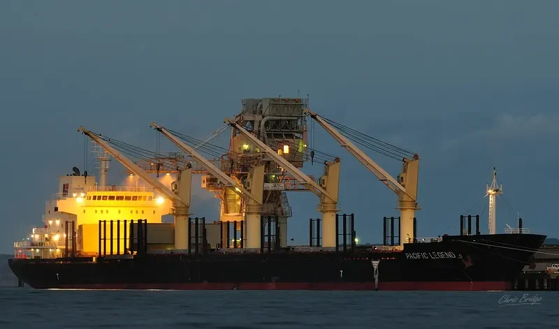 PACIFIC LEGEND Bulk Carrier IMO 9573995 photo 6