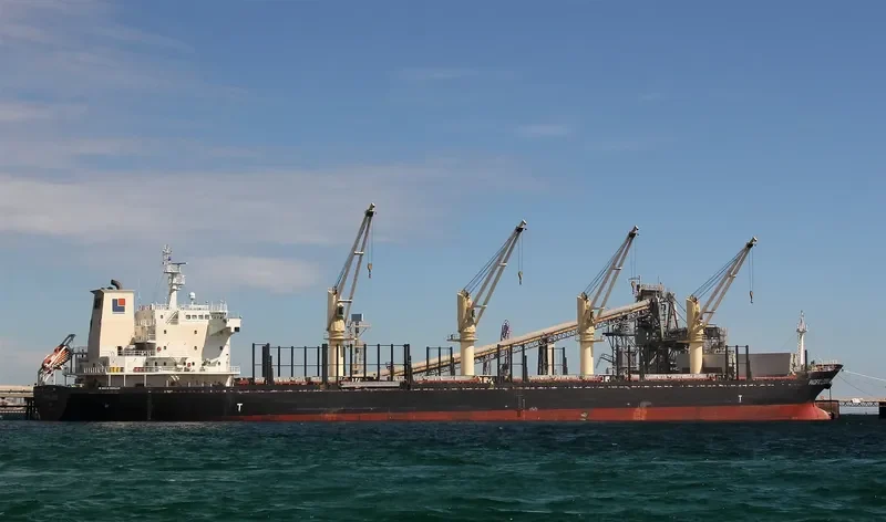 PACIFIC LEGEND Bulk Carrier IMO 9573995 photo 7