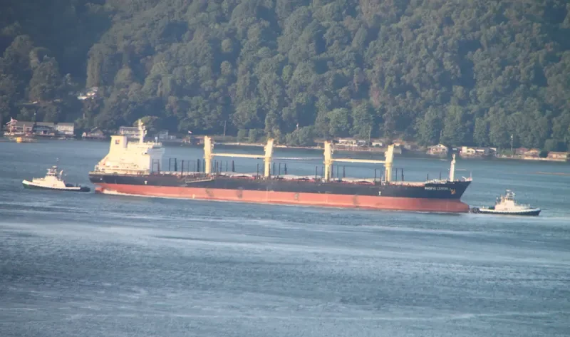 PACIFIC LEGEND Bulk Carrier IMO 9573995 photo 9
