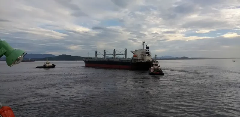 STELLAR LADY Bulk Carrier IMO 9574004 photo 2