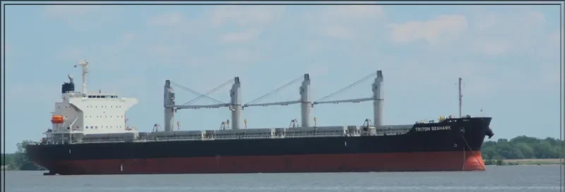 STELLAR LADY Bulk Carrier IMO 9574004 photo 3