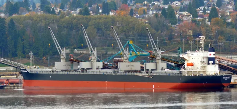 STELLAR LADY Bulk Carrier IMO 9574004 photo 6