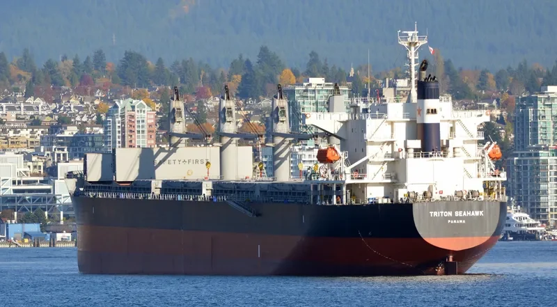 STELLAR LADY Bulk Carrier IMO 9574004 photo 7
