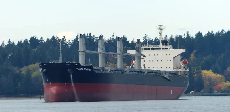 STELLAR LADY Bulk Carrier IMO 9574004 photo 8
