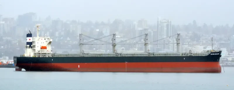 STELLAR LADY Bulk Carrier IMO 9574004 photo 9