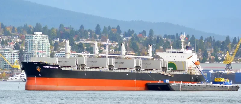 STELLAR LADY Bulk Carrier IMO 9574004 photo 10