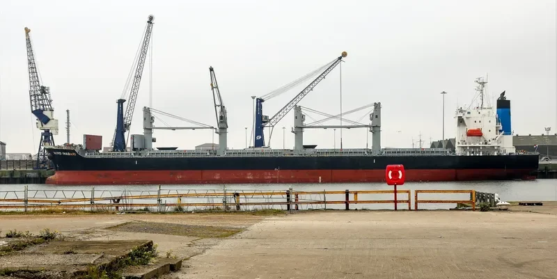 INDIGO IMABARI Bulk Carrier IMO 9574028 photo 2