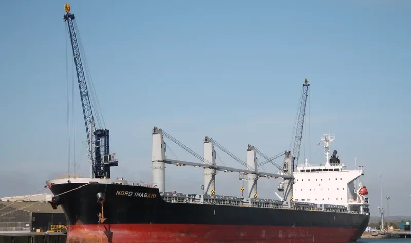 INDIGO IMABARI Bulk Carrier IMO 9574028 photo 3