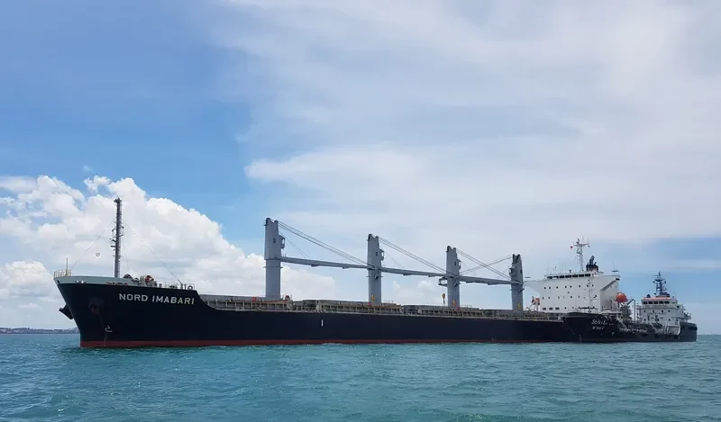 INDIGO IMABARI Bulk Carrier IMO 9574028 photo 5