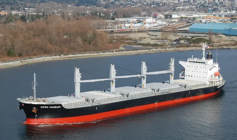 INDIGO IMABARI Bulk Carrier IMO 9574028 photo 6