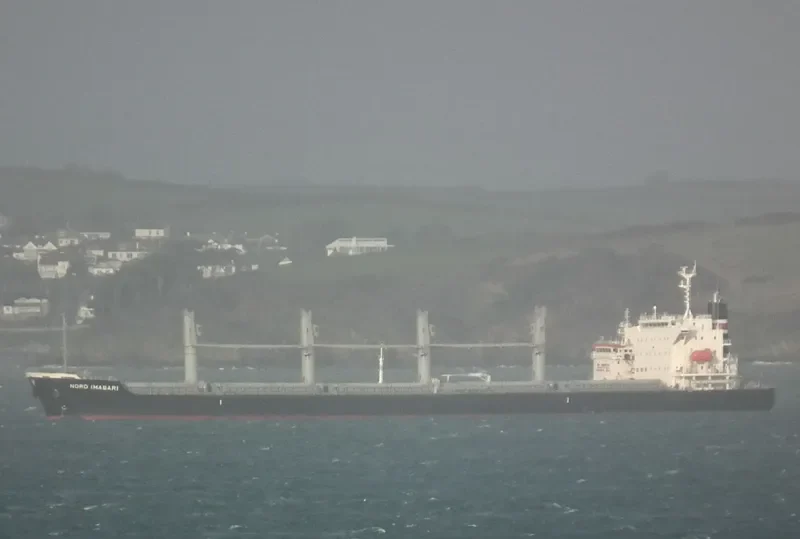 INDIGO IMABARI Bulk Carrier IMO 9574028 photo 7