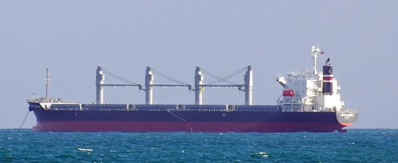INDIGO IMABARI Bulk Carrier IMO 9574028 photo 8