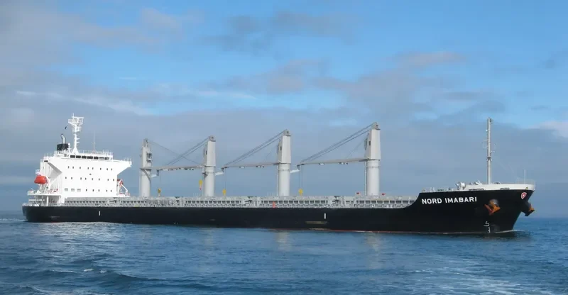 INDIGO IMABARI Bulk Carrier IMO 9574028 photo 9