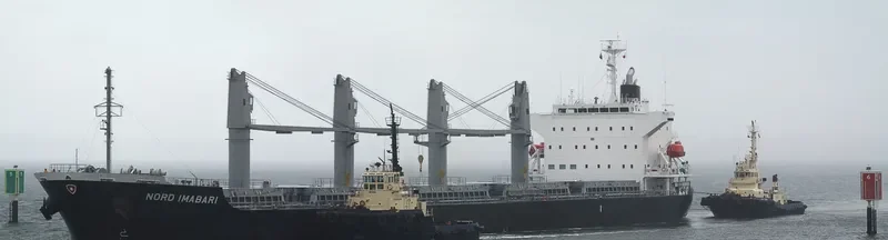 INDIGO IMABARI Bulk Carrier IMO 9574028 photo 10
