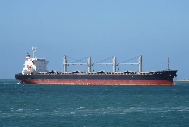 INA LOTTE Bulk Carrier IMO 9574030 photo 3