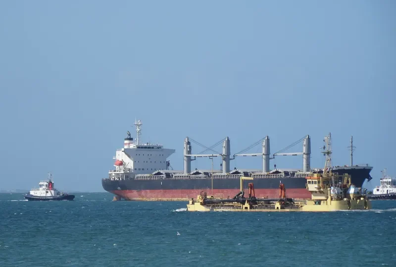INA LOTTE Bulk Carrier IMO 9574030 photo 4