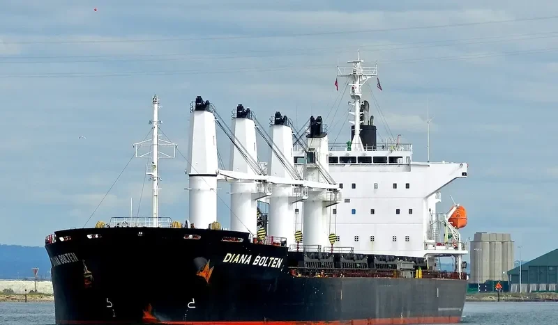 ZUDAR Bulk Carrier IMO 9574042 photo 5