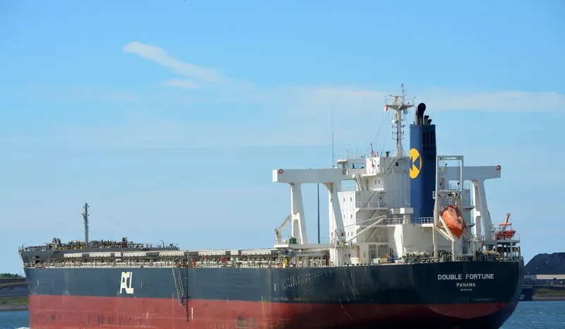 DOUBLE FORTUNE Bulk Carrier IMO 9574119 photo 3