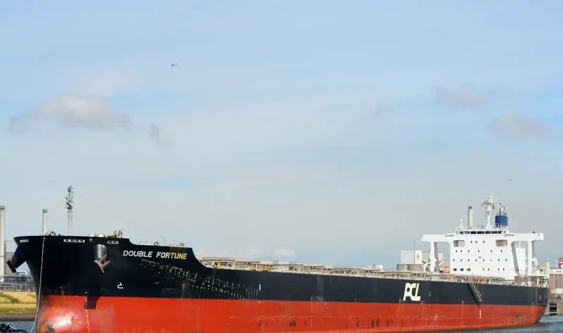 DOUBLE FORTUNE Bulk Carrier IMO 9574119 photo 4