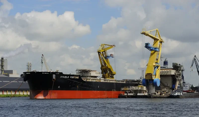 DOUBLE FORTUNE Bulk Carrier IMO 9574119 photo 10