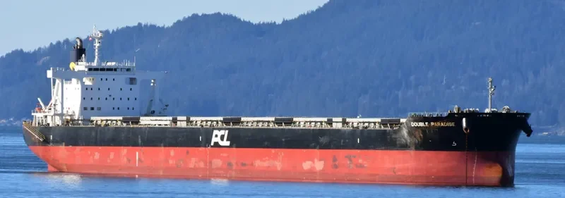 DOUBLE PARADISE Bulk Carrier IMO 9574121